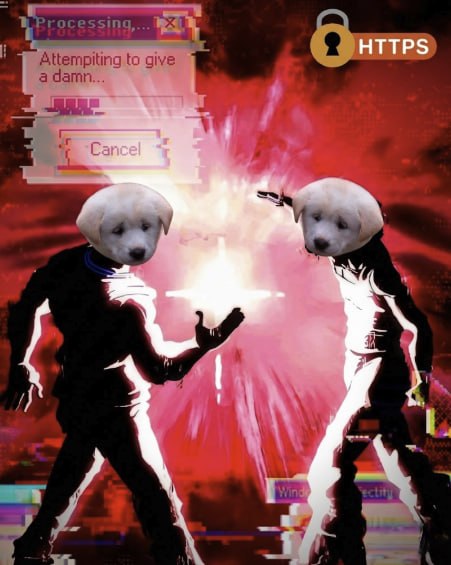Two of the puppies standing over a white explosion, next to an HTTPS padlock badge.